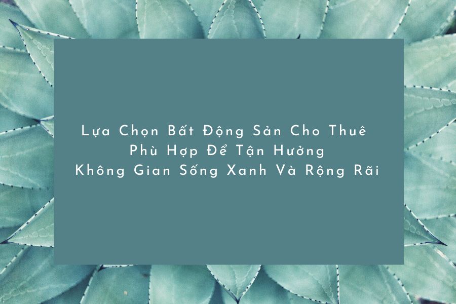 Lựa Chọn Bất Động Sản Cho Thuê Phù Hợp Để Tận Hưởng Không Gian Sống Xanh Và Rộng Rãi