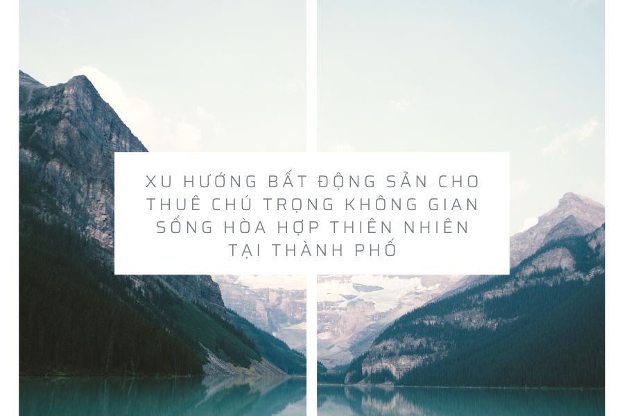 Xu Hướng Bất Động Sản Cho Thuê Chú Trọng Không Gian Sống Hòa Hợp Thiên Nhiên Tại Thành Phố